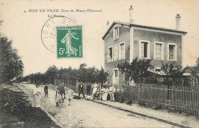 / CPA FRANCE 91 "Bois du Pileu, le plateau"