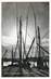 CPSM  FRANCE 29 "Concarneau, contre jour"
