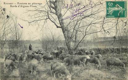 CPA FRANCE 13 "Rousset, moutons au pâturage"