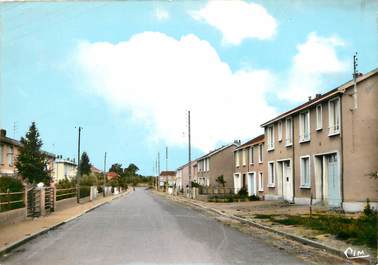 CPSM FRANCE 49 "Villedieu la Blouère, les castors"