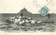 50 Manche / CPA FRANCE 50 "Le Mont Saint Michel, les prés salés des Grèves"