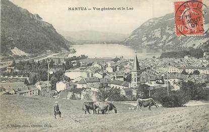 / CPA FRANCE 01 "Nantua, vue générale et le lac"