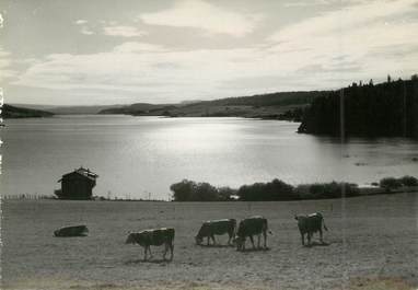 / CPSM FRANCE 25 "Paysage du Haut Doubs, le lac Malbuisson"