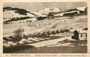 74 Haute Savoie / CPA FRANCE 74 "Megève, élevage du renard argenté, le ranch Foiry et le Mont Blanc"