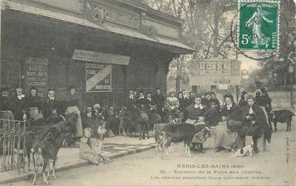 CPA  FRANCE 03 "Néris les Bains, la Foire aux chèvres"