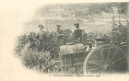 CPA  FRANCE 21 "Nuits Saint Georges, Vignerons traitant la vigne"