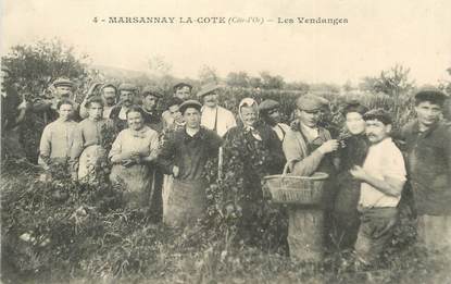 CPA  FRANCE 21 "Marsannay la Cote, les vendanges"