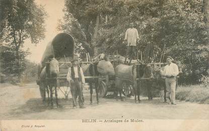 CPA FRANCE 33 "Belin, attelage de Mules"