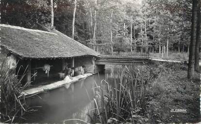 / CPSM FRANCE 77 "Voulx, l'Orvanne et le lavoir "