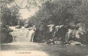 Afrique  CPA ILE MAURICE "La Grande rivière"