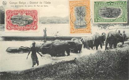 CPA CONGO BELGE "les éléphants du poste de Api au bain"