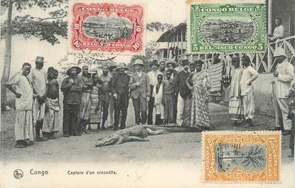 CPA CONGO BELGE "Capture d'un crocodile"