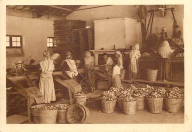 CPSM ALGERIE "Domaine de la Trappe de Staouëli près Alger, lavage et calibrage des pommes de terre"