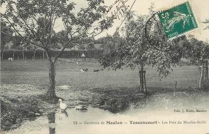 / CPA FRANCE 78 "Tessancourt, Les prés du Moulin Brûlé"