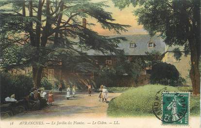 / CPA FRANCE 50 "Avranches, le jardin des plantes"