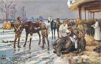 CPA MILITAIRE / CHEVAUX "soins aux chevaux blessés à la guerre"