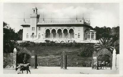 CPSM TUNISIE "Tunis,  le Belvédère"