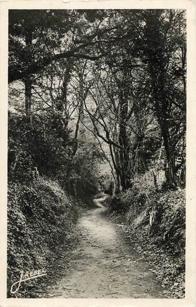 CPSM FRANCE 50 "Carolles, chemin conduisant à la plage"