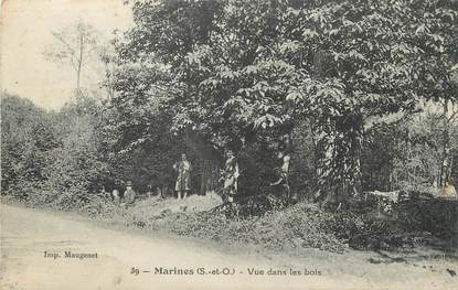 / CPA FRANCE 95 "Marines, vue dans les bois"