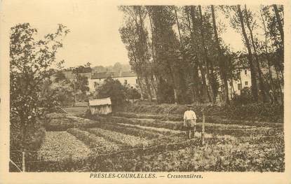 / CPA FRANCE 95 "Presles Courcelles, cressonières"