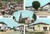 01 Ain / CPSM FRANCE 01 "Cormoranche"