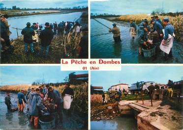 / CPSM FRANCE 01 "La pêche en Dombes"