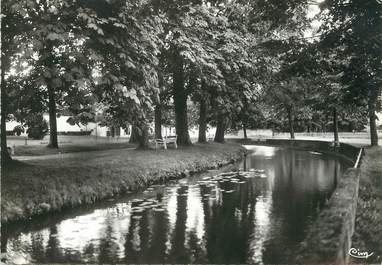 / CPSM FRANCE 01 "Pont de Veyle, promenade de l'Eperon"