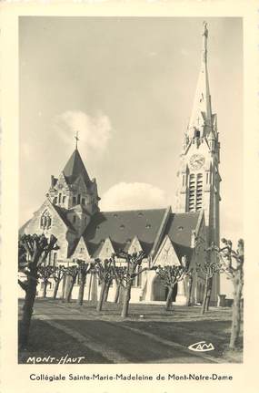 / CPSM FRANCE 02 "Vailly sur Aisne, collégiale Sainte Marie Madeleine du Mont Notre Dame"