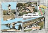 03 Allier / CPSM FRANCE 03 "Gannat sur Loire"
