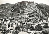 04 Alpe De Haute Provence / CPSM FRANCE 04  "Entrevaux,  vue générale"