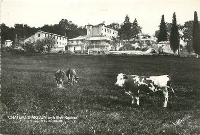 CPSM FRANCE 04 "Chateau D'Aiglun, Mallemoisson"