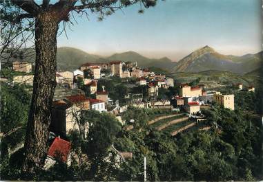 / CPSM FRANCE 06 "Berre Les Alpes, vue générale"