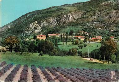 / CPSM FRANCE 06 "La Bastide, champ de Lavande et vue sur le village"