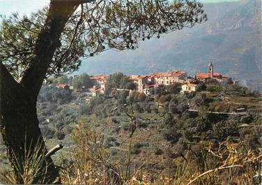 / CPSM FRANCE 06 "Castellar, charmant village dans l'arrière pays Mentonnais"