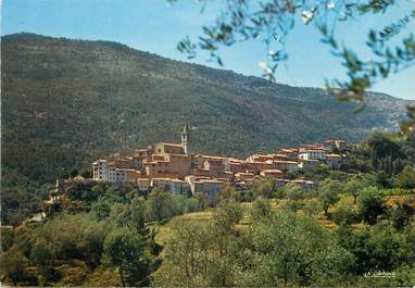 / CPSM FRANCE 06 "Contes les Pins, vue générale "