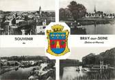 77 Seine Et Marne / CPSM FRANCE 77 "Bray sur Seine"