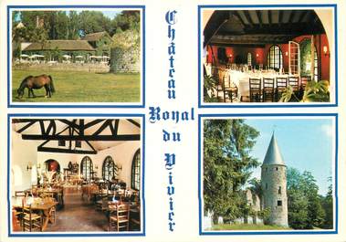 / CPSM FRANCE 77 "Fontenay Tresigny, château Royal du Vivier"