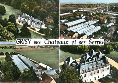 / CPSM FRANCE 77 "Grisy Suisnes, ses châteaux et ses Serres"