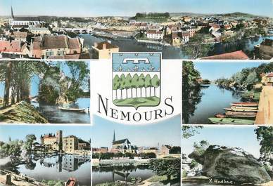 / CPSM FRANCE 77 "Nemours, panorama sur la ville et le Loing"