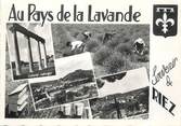 04 Alpe De Haute Provence / CPSM FRANCE 04 "Souvenir de Riez La Romaine"