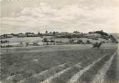 04 Alpe De Haute Provence / CPSM FRANCE 04 "Revest du Bion, vue générale"