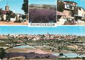 04 Alpe De Haute Provence / CPSM FRANCE 04 "Puimoisson"