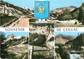 05 Haute Alpe / CPSM FRANCE 05 "Ceillac"