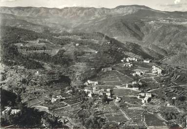 CPSM FRANCE 07 "Ribes, vue générale aérienne"