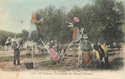 CPA FRANCE 13 "En Provence, la cueillette des Olives"