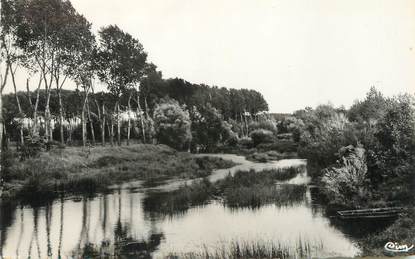 / CPSM FRANCE 89 "Tonnerre, Bords de l'Armançon"