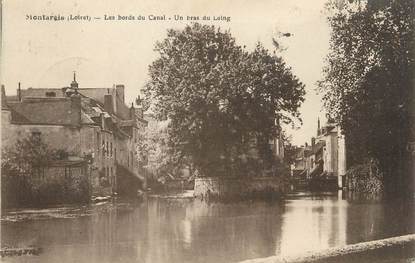 / CPA FRANCE 45 "Montargis, les bords du canal"