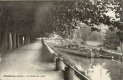 45 Loiret / CPA FRANCE 45 "Montargis, le canal du loing"
