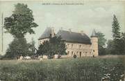 58 Nievre CPA FRANCE 58 "Arleuf, Chateau de la Tournelle"