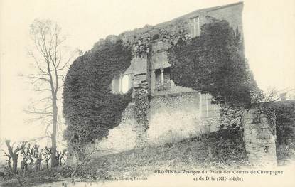 / CPA FRANCE 77 "Provins, vestiges du palais des Comtes de Champagne"